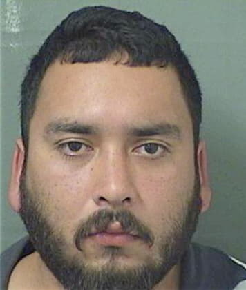 Abel Hernandez, - Palm Beach County, FL 